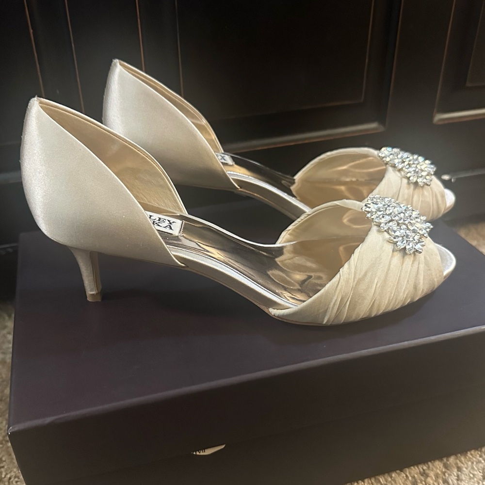 Caitlin Peep Toe Jeweled Dress Pumps, Nude, Size 8 NWT - Badgley Mischka